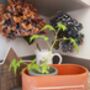 Terracotta Herb Garden Planter, thumbnail 1 of 5