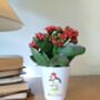 Christmas Puffin Plant Pot. Personalised Flowerpot, thumbnail 4 of 5