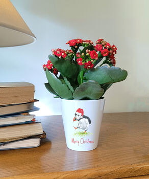 Christmas Puffin Plant Pot. Personalised Flowerpot, 4 of 5