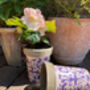 Aged Blue Floral Ceramic Plant Pot – Garden Planter, thumbnail 4 of 5