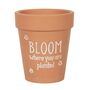 Bloom Where You Are Planted Terracotta Plant Pot, thumbnail 3 of 3