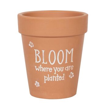Bloom Where You Are Planted Terracotta Plant Pot, 3 of 3