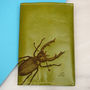 Personalised Leather Passport Holder With Stag Beetle, thumbnail 3 of 12