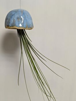 Ceramic Shell Jellyfish Air Plant Gift For Plant Lover, 5 of 12