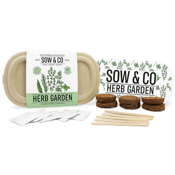 Sow And Co Grow Kits Chilli, Bonsai, Herbs Or Cactus, 11 of 12
