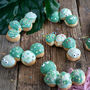 Caterpillar Iced Bun Baking Kit, thumbnail 2 of 4