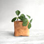 Personalised Mini Leather Paper Bag Planter With Custom Message And Artificial Round Leaf Vine, thumbnail 1 of 7