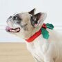 Christmas Dog Collar, thumbnail 1 of 6