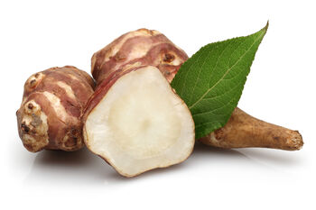 Artichoke 'Jerusalem' Bare Rooted Plant, 2 of 6