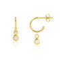 Hampton Moissanite And Gold Plated Hoop Earrings, thumbnail 1 of 4