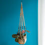 Jute Rope Hanging Planter With Beads 89cm, thumbnail 3 of 4