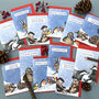 Funny Wildlife Christmas Card Pack Of 12, thumbnail 1 of 7