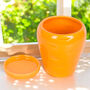 Orange Carrot Shaped Planter With Parsley Seed Balls, thumbnail 3 of 4