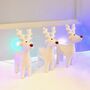 Christmas Set Of Little Reindeer Decorations, thumbnail 1 of 4
