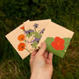 Personalised Seed Kit: Grow Your Own Edible Flowers, thumbnail 3 of 12