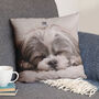 Personalised Single Or Double Sided Pet Photo Cushion, thumbnail 1 of 6