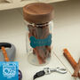 Personalised Dog Pet Treat Glass Storage Jar, thumbnail 1 of 8