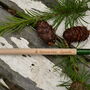 A Pencil That Grows Into A Spruce Tree, thumbnail 3 of 4
