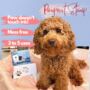 New Puppy Memories Kit, thumbnail 8 of 8
