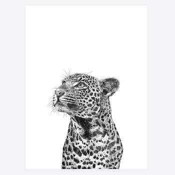 Leopard Print, 3 of 3