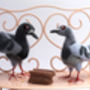 Needle Felted Pigeon Ornament, thumbnail 5 of 6
