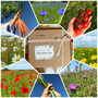 Wildflower And Vegetable Seed Gift Box Collection, thumbnail 1 of 4