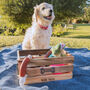 Personalised Engraved Hardwood Crate 'Dog Toys', thumbnail 1 of 4