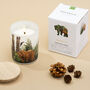 Forest Scented Soy Candle | Zero Waste Christmas Gift That Gives Back, thumbnail 3 of 7