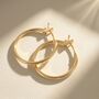 Small Plain Gold Plated Hoop Earrings, thumbnail 1 of 5