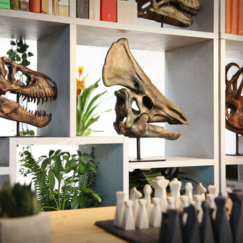 Large Hand Painted Olorotitan Skull Dinosaur Sculpture – Museum Quality 3D Resin Fossil Model On Black Metal Stand, Statement Home Decor, 2 of 4