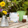 Grow Your Own Wildflower Bouquet And Vase Gift Set, thumbnail 6 of 12