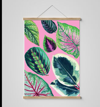 Houseplant Mixed Leaves Pink Art Print, 4 of 4