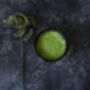 AAA+ Organic Matcha Green Tea 30g, thumbnail 5 of 5