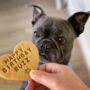 Personalised 'Happy Birthday' Dog Biscuits Gift Set, thumbnail 4 of 7