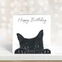 Peeking Cat Happy Birthday Card, thumbnail 1 of 7