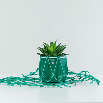 Origami Self Watering Eco Plant Pot: 10cm | Sea Waste, 3 of 11