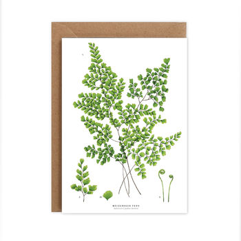 Botanical Maidenhair Fern Card, 2 of 2