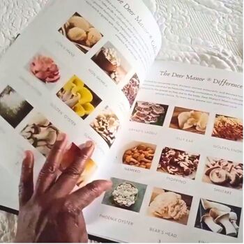 Recipes To Celebrate Mushrooms Hardback Cookbook, 6 of 6