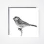 Electra The Bluetit Luxury Blank Greeting Card, thumbnail 1 of 4