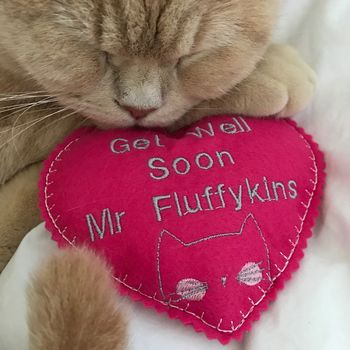 Purrsonalised Catnip Heart Cat Toys, 5 of 5