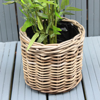 natural rattan planters set of three by marquis & dawe ...