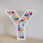 Personalised Initial Felt Ball Wooden Painted Letter, thumbnail 9 of 12