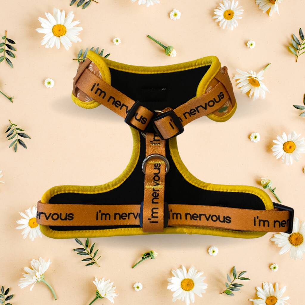 Nervous Dog Adjustable Harness, Wallflower By nervous puppy