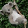 Garden Hanging Koala Ornament, thumbnail 1 of 3