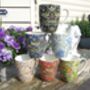Set Of Six Mugs In Assorted William Morris Designs, thumbnail 1 of 12