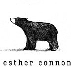 Bear illustration