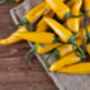Chilli Plants, 'Hot Lemon', thumbnail 7 of 7