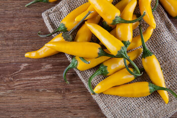 Chilli Plants, 'Hot Lemon', 7 of 7