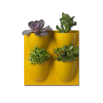 Mini Wall Flower Pots Four Pack, 4 of 6