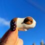 Guinea Pig Keepsake Ornament With Gift Box, thumbnail 5 of 7